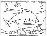 Dolphin Coloring Page  Tims Printables sketch template
