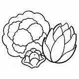 Cauliflower brussels sprouts Cabbage vegetables Outline coloring Book  sketch template