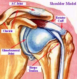 Acromioclavicular Arthritis- AC DJD – Orland Park Orthopedics