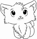 Kitty Cat Printable Coloring Pages At GetColoringscom  Free sketch template