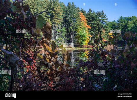 Fall Foliage Harriman State Park New York Stock Photo - Alamy