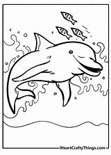 Dolphins Coloring Pages sketch template