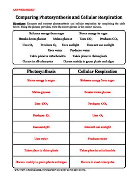 Photosynthesis and Cellular Respiration Comparison Chart by A-Thom-ic ...