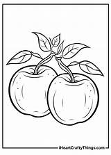 Apples Coloring Pages sketch template