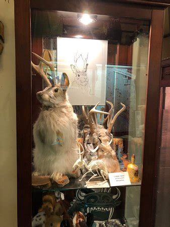 International Cryptozoology Museum (Portland) - 2019 All You Need to ...