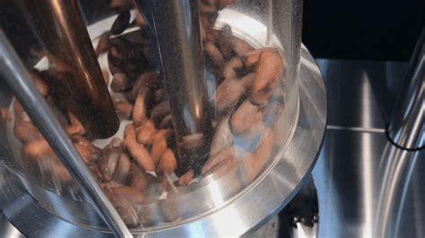 Roaster NOVO MARKⅡ＆cacaobeans