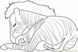See Coloring Pages sketch template