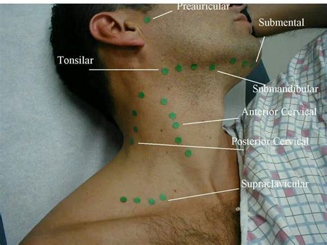 Pin on Basics/Medical