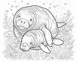 Mammals Coloring Pages sketch template