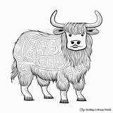 Yak Coloring Pages  Free & Printable sketch template