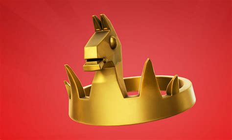 Fortnite player gets a real-life victory crown on his birthday