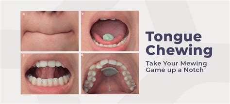 How Tongue Chewing Can Help With Your Mewing Technique | Mewing.coach