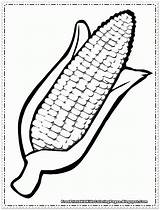 Corn Coloring Pages Printable  Home sketch template