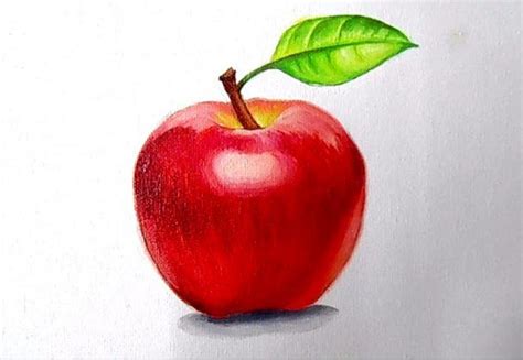 10 Easy Tips For Apple Oil Painting | Apple painting, Oil painting for ...