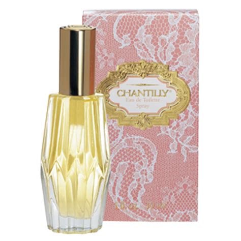 Chantilly Perfume Spray Mist, 1oz - 1 Pkg - The Online Drugstore