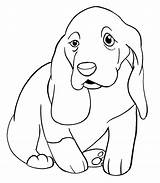 Hound Basset Coloring Pages Drawing Bassett Dog Color Printable  sketch template