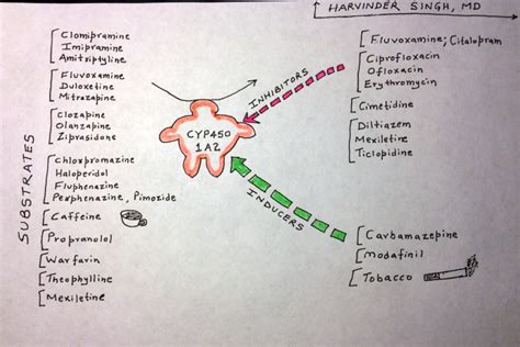 Cytochrome P450: Drug Interactions in Psychiatry