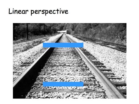 Depth Perception: Monocular cues •Linear perspective- parallel lines ...