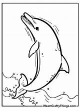Free Dolphin Coloring Pages Dive Into Fun And Creativity sketch template