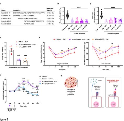 Figure 8 from GLP-1 and Its Derived Peptides Mediate Pain Relief Through Direct TRPV1 Inhibition ...