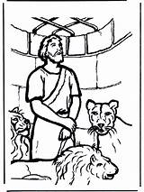Daniel And The Lions Den Preschool Coloring Page Pages sketch template