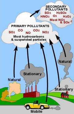 Types and sources of air pollutants | Download Scientific Diagram