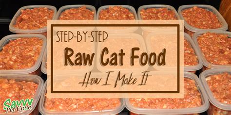 Raw Cat Food - How to make raw cat food - Savvy Pet Care