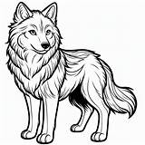 Print Wolf coloring Page  Download Or Color Online For Free sketch template