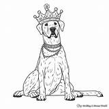 Great Dane Coloring Pages  Free & Printable sketch template