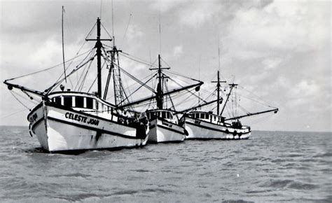 Shrimp Boats, Bayou La Batre, Alabama where the best seafood in ... | Old sailing ships, Boat ...