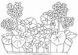 Flowerbed coloring pages To Download And Print For Free sketch template