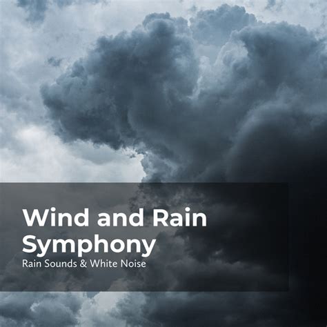 Wind and Rain Symphony - Album by Rain Sounds & White Noise | Spotify