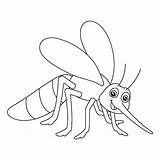 Fly Coloring Page sketch template