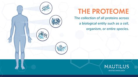 What is the proteome? ~ Nautilus Biotechnology