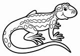 Lizard Coloring Pages  100 Pictures Free Printable sketch template