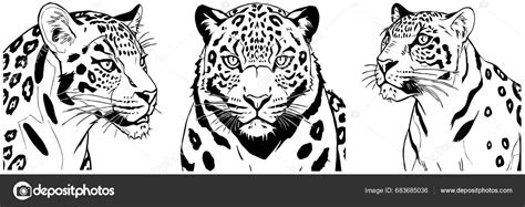 Leopard Line Art Logo Design Use Graphics Shirt Print Tattoo Stock Vector by ©wiola1976 683685036