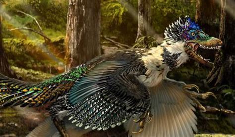 Discovering a New Dinosaur Helped Us Prove Velociraptors Had Feathers | Portside