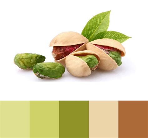 Pistachio color palette | COLOR PALETTE FOOD ☕ | Pinterest | Color ...