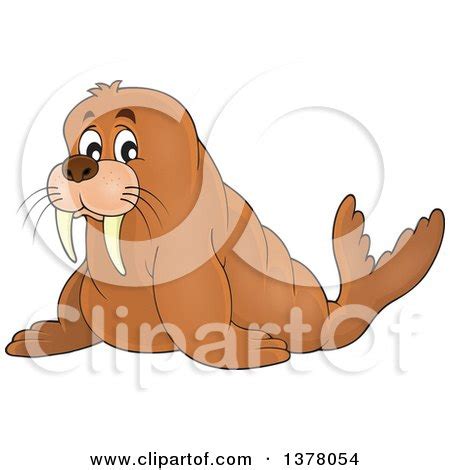 Clipart of a Cartoon Happy Walrus Playing an Acoustic Guitar - Royalty Free Vector Illustration ...