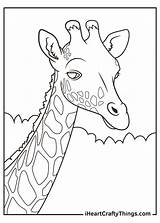 Printable Realistic Animals Coloring Pages Updated 2021 sketch template