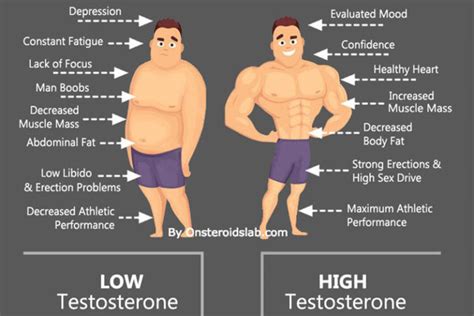 Low Testosterone: Symptoms, Causes, Effects And Treatment • SpotMeBro.com