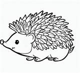 Cute Cartoon Hedgehog Coloring Page Coloring Pages sketch template