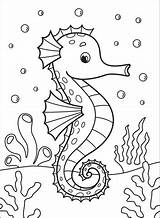 Seahorse coloring Page  Free Printable Coloring Pages sketch template