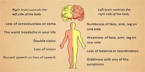 Coping with Pre-Hospital Stroke Symptoms