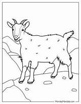 20 Goat Coloring Pages Free PDF Printables sketch template