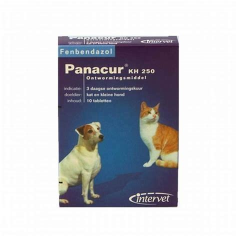 Is Panacur C safe for cats? - DIY Seattle