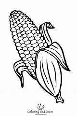 Corn Coloring Pages FREE 2025  And Learn sketch template