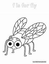 Fly Coloring Page  PrimaryLearningOrg sketch template