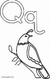 Letter Q Coloring Pages 26 Free Printables  ColoringAll sketch template