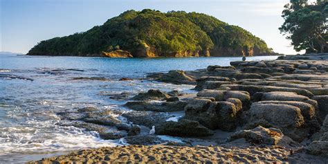 Goat Island/Tawharanui/ Kawau Island Dive Charter - New Zealand Diving Reservations